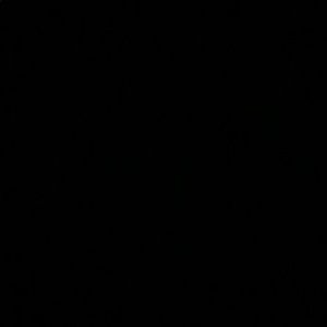 Meet your Posher, Simone